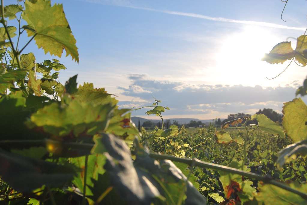 Logis Hotel Du Haut-Bugey Oyonnax Luaran gambar